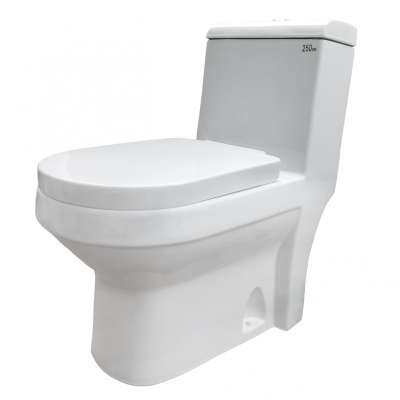 Goodone Modern Sanitary Ware Bathroom S Trap Water Closet WC Rimfree One Piece Toilet Price