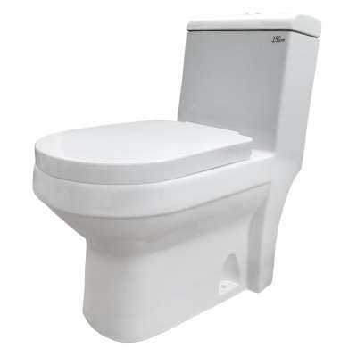 Goodone Ceramic Western Commode Single Piece Closet WC S Trap Vertical Outlet One Piece Toilet With Sink