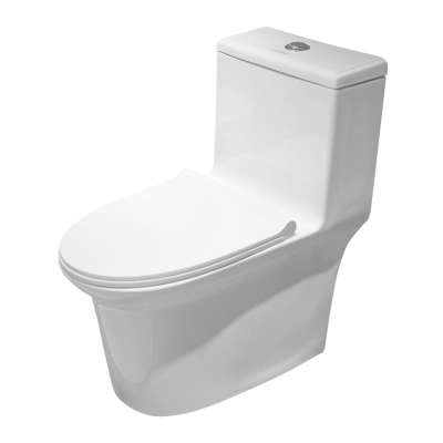 Goodone Single Piece Commode Sanitary Ware Flush Syphon S Trap Small WC Colored Toilets