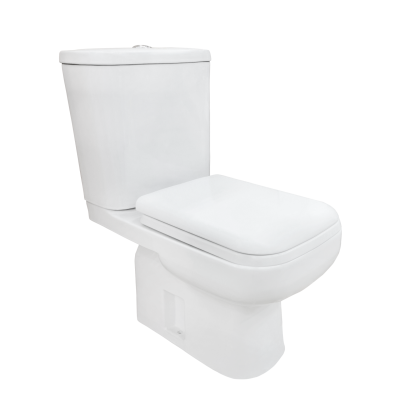 Goodone Modern Bathroom Human Water Closet Commode Washdown Popular Chinese Squat Toilet Bowl